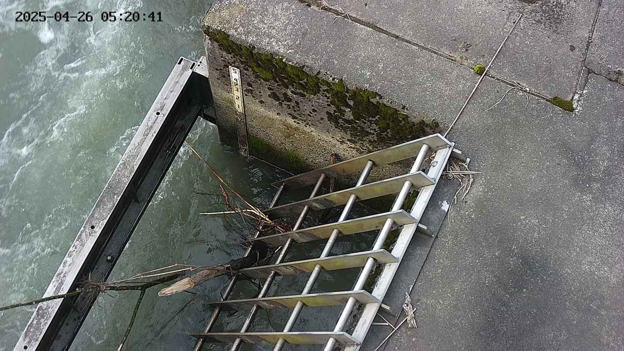 yamashirozeki3-20250426052043.jpg