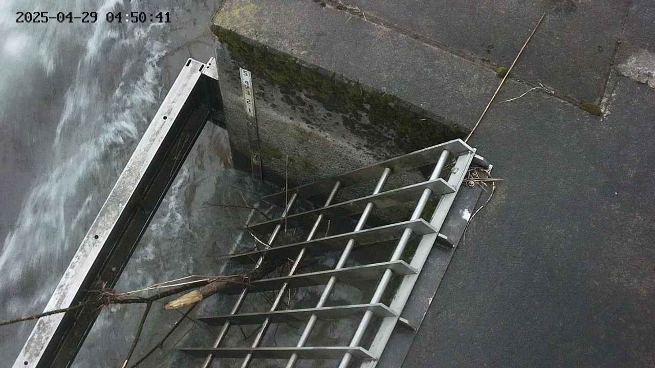 yamashirozeki3-20250429045042.jpg