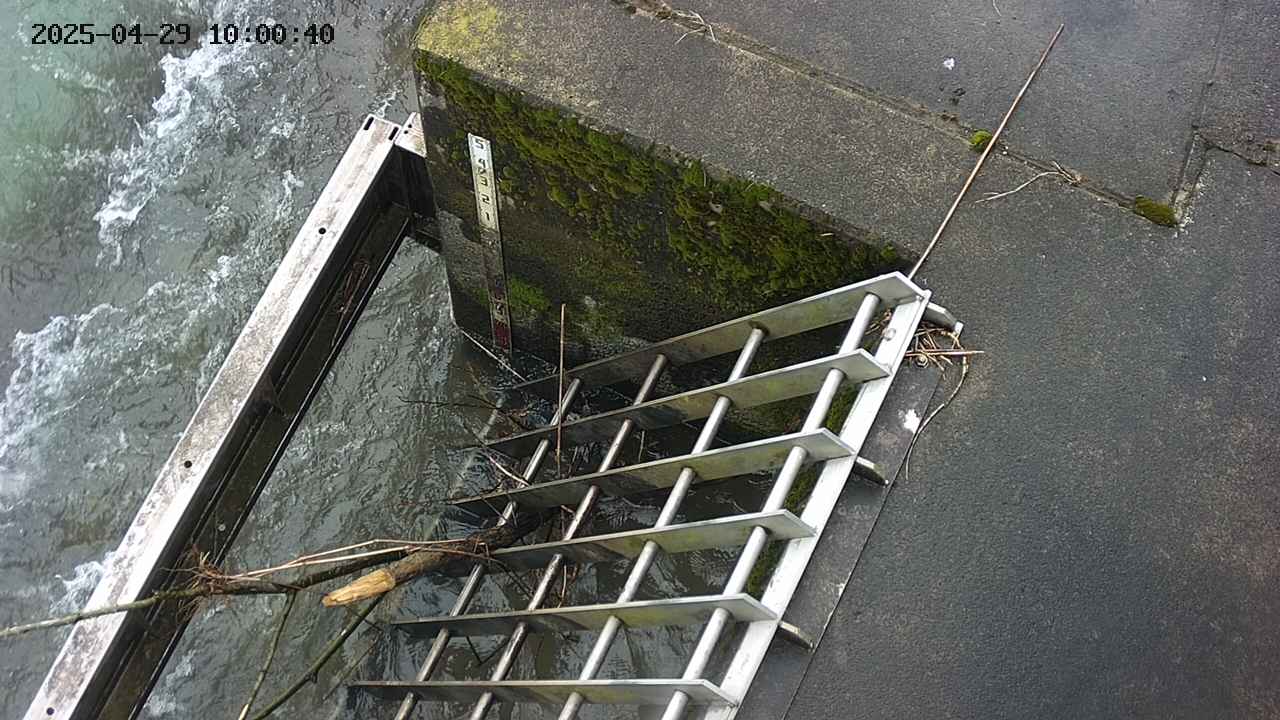 yamashirozeki3-20250429100041.jpg