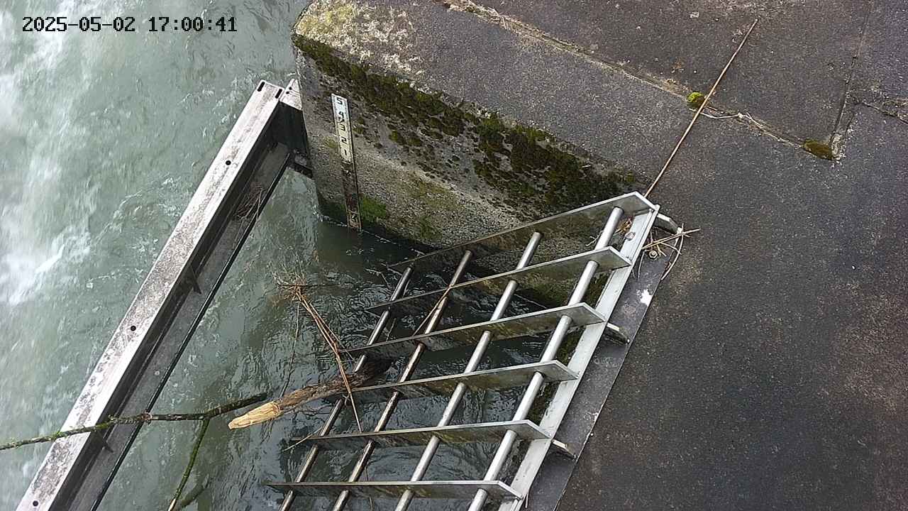 yamashirozeki3-20250502170042.jpg