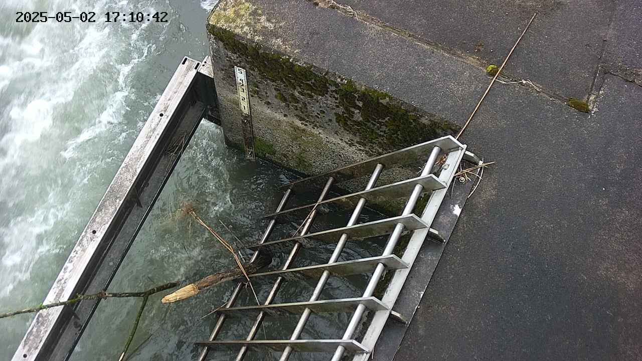 yamashirozeki3-20250502171042.jpg