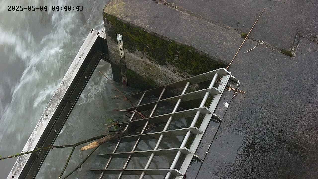 yamashirozeki3-20250504044044.jpg