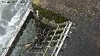 yamashirozeki3-20250504091045.jpg