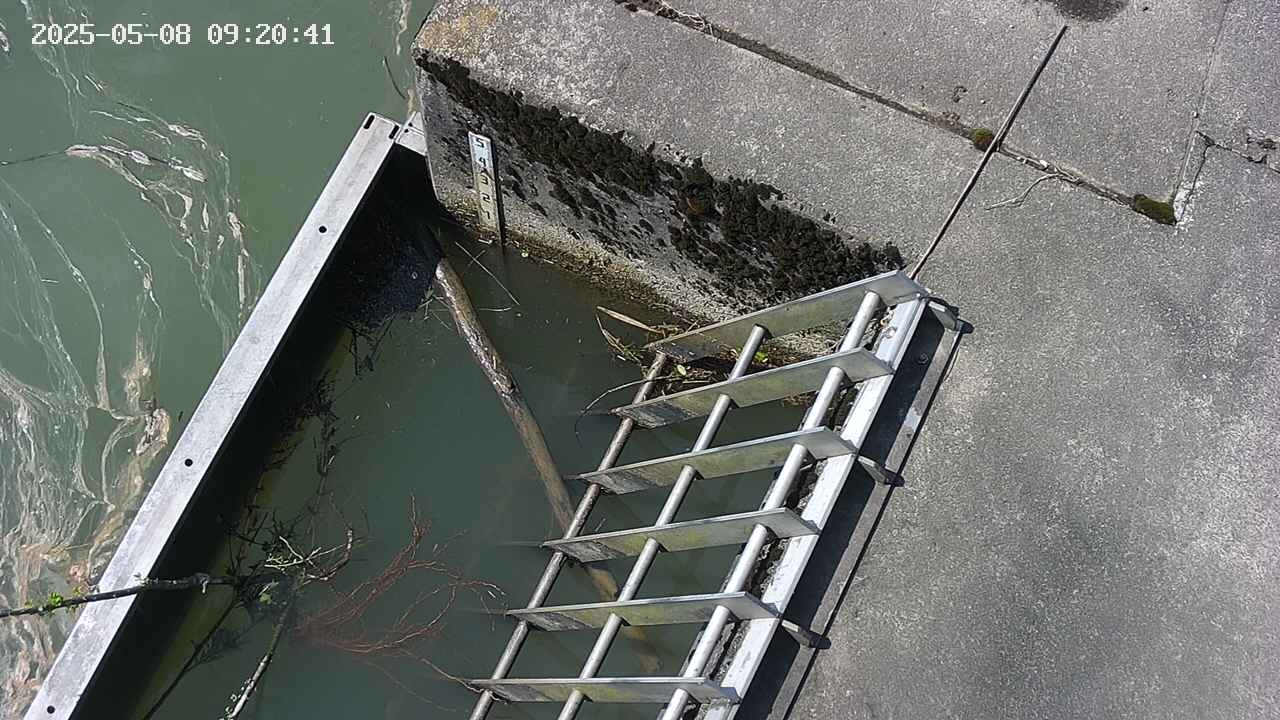 yamashirozeki3-20250508092043.jpg
