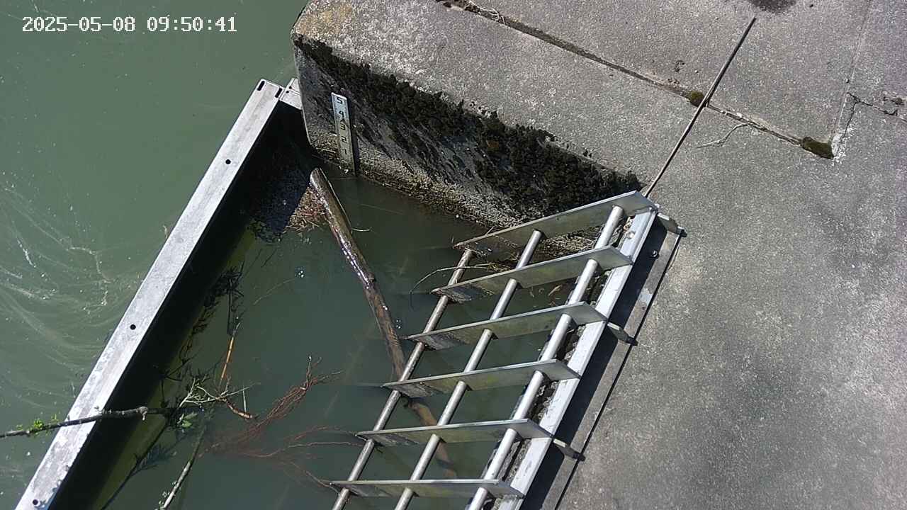 yamashirozeki3-20250508095043.jpg
