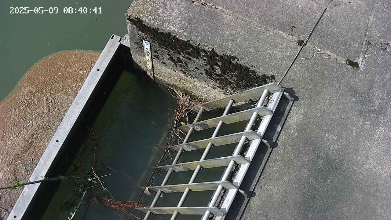 yamashirozeki3-20250509084043.jpg