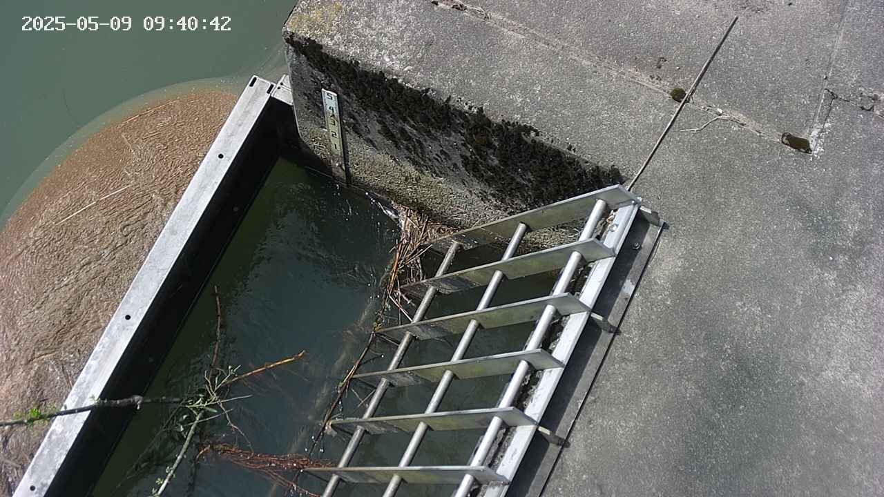 yamashirozeki3-20250509094044.jpg