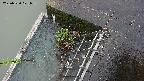 yamashirozeki3-20250520071041.jpg