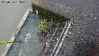 yamashirozeki3-20250520082042.jpg
