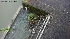 yamashirozeki3-20250520090043.jpg