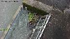 yamashirozeki3-20250520103043.jpg