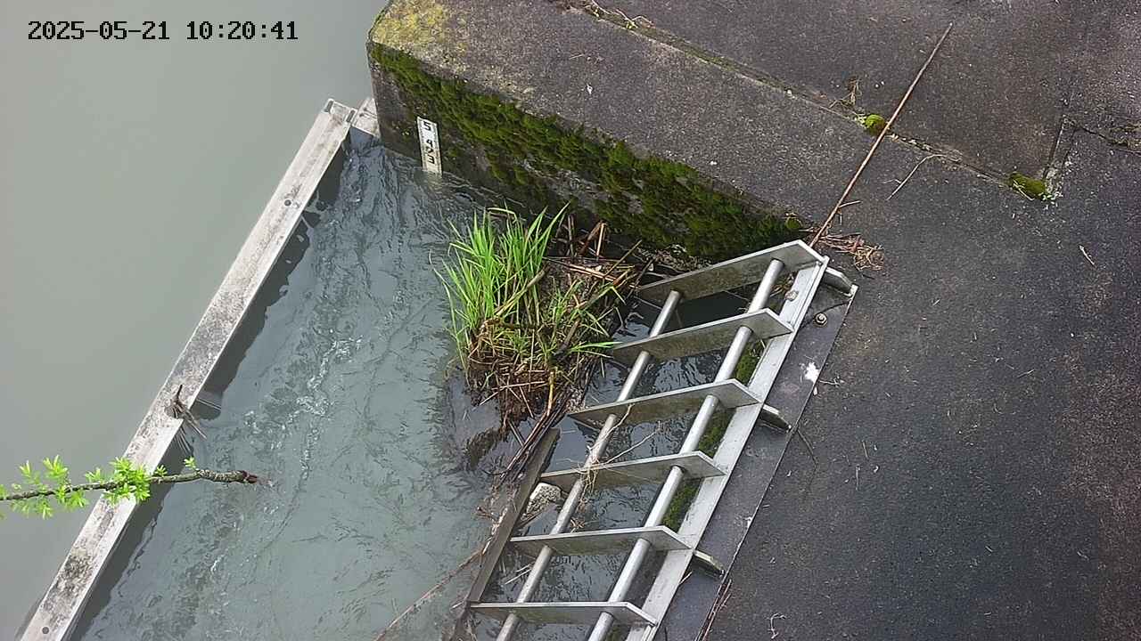 yamashirozeki3-20250521102043.jpg