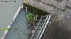 yamashirozeki3-20250522082041.jpg