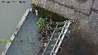 yamashirozeki3-20250522083043.jpg