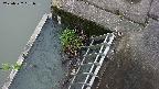 yamashirozeki3-20250522091041.jpg
