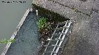 yamashirozeki3-20250522102046.jpg