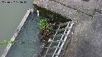 yamashirozeki3-20250522105042.jpg