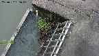 yamashirozeki3-20250522135042.jpg