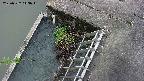 yamashirozeki3-20250522143043.jpg