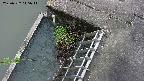 yamashirozeki3-20250522145042.jpg