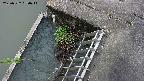 yamashirozeki3-20250522150045.jpg