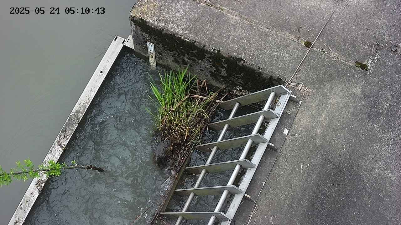 yamashirozeki3-20250524051044.jpg