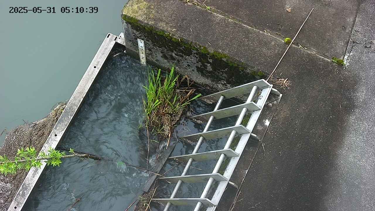 yamashirozeki3-20250531051041.jpg