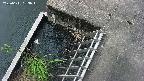 yamashirozeki3-20250611133046.jpg
