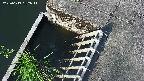 yamashirozeki3-20250619062043.jpg