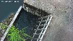 yamashirozeki3-20250619184042.jpg