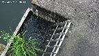 yamashirozeki3-20250622133043.jpg