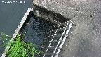 yamashirozeki3-20250622170045.jpg