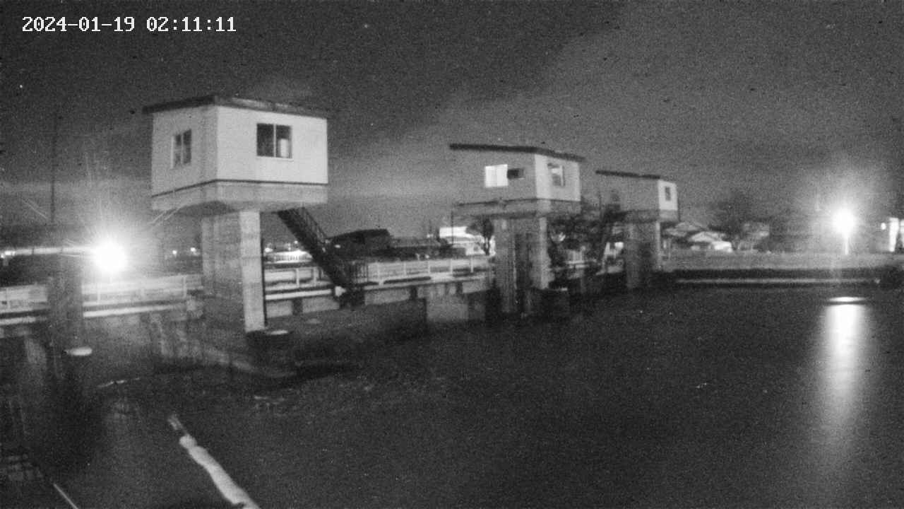 area1-20240119021113.jpg