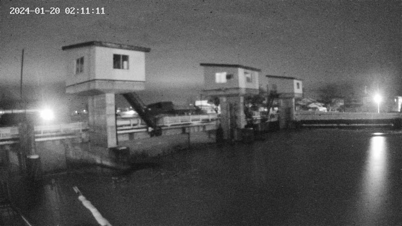 area1-20240120021113.jpg