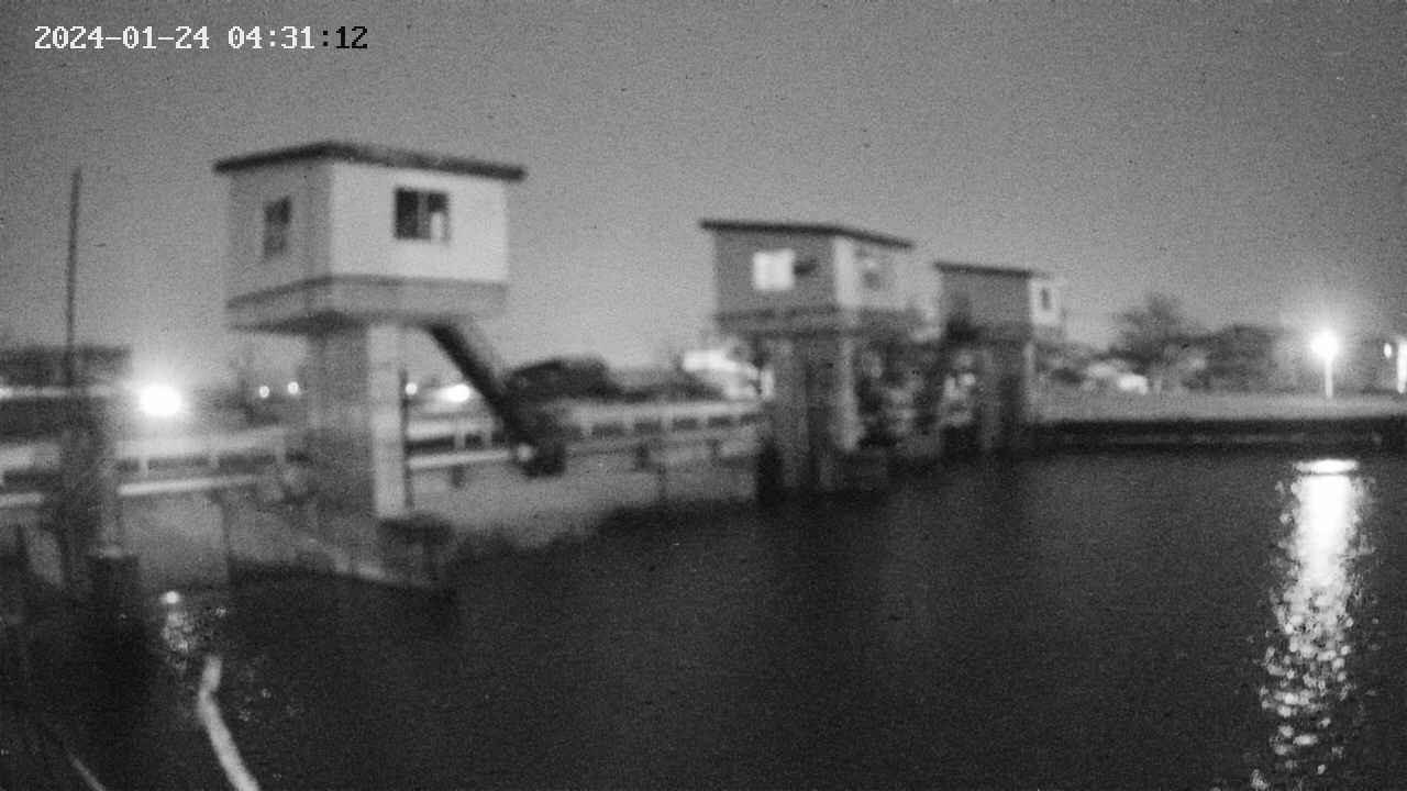 area1-20240124043113.jpg