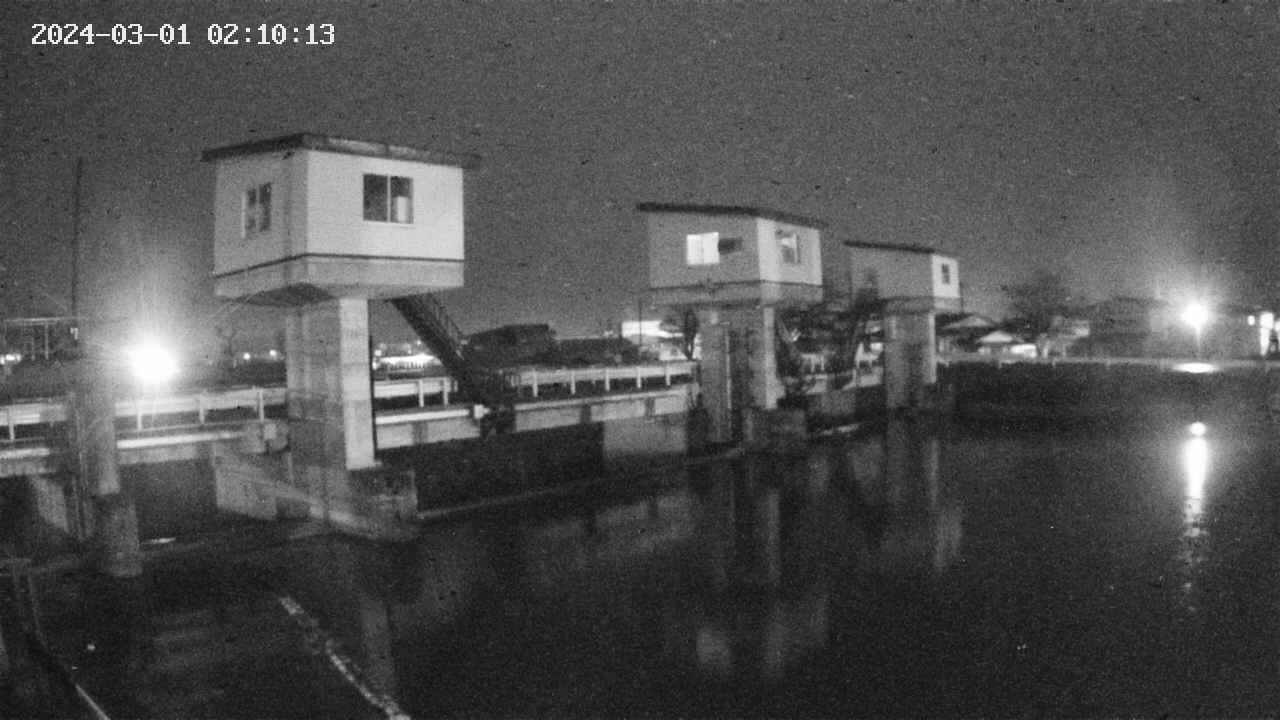 area1-20240301021013.jpg