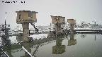 area1-20240303061014.jpg