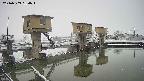 area1-20240303064013.jpg