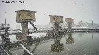 area1-20240303082012.jpg