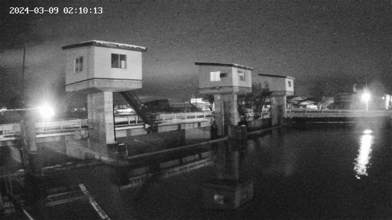 area1-20240309021013.jpg