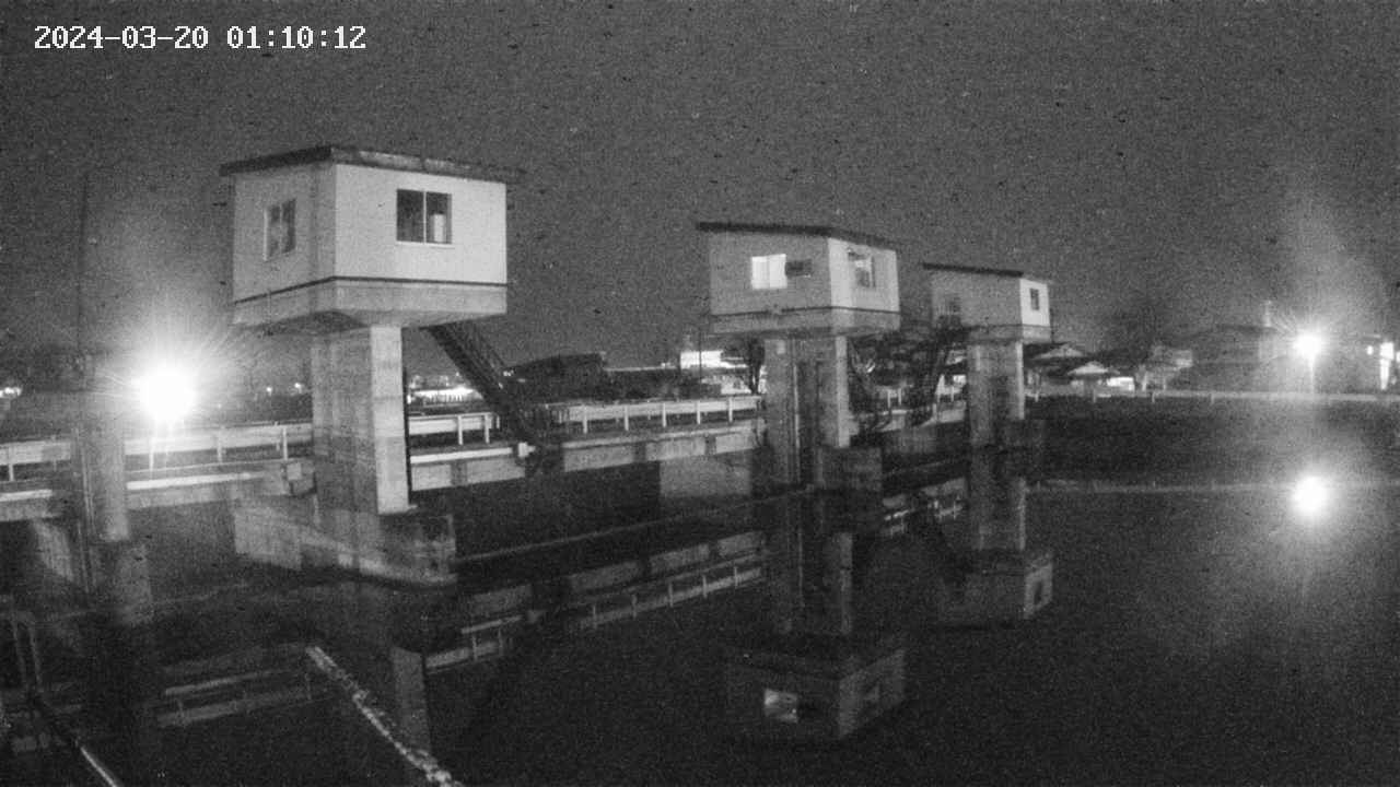 area1-20240320011013.jpg