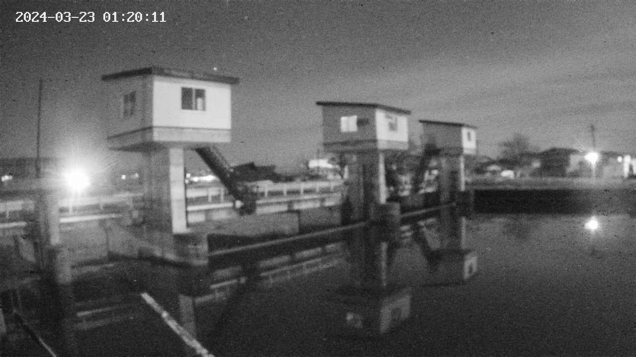 area1-20240323012012.jpg