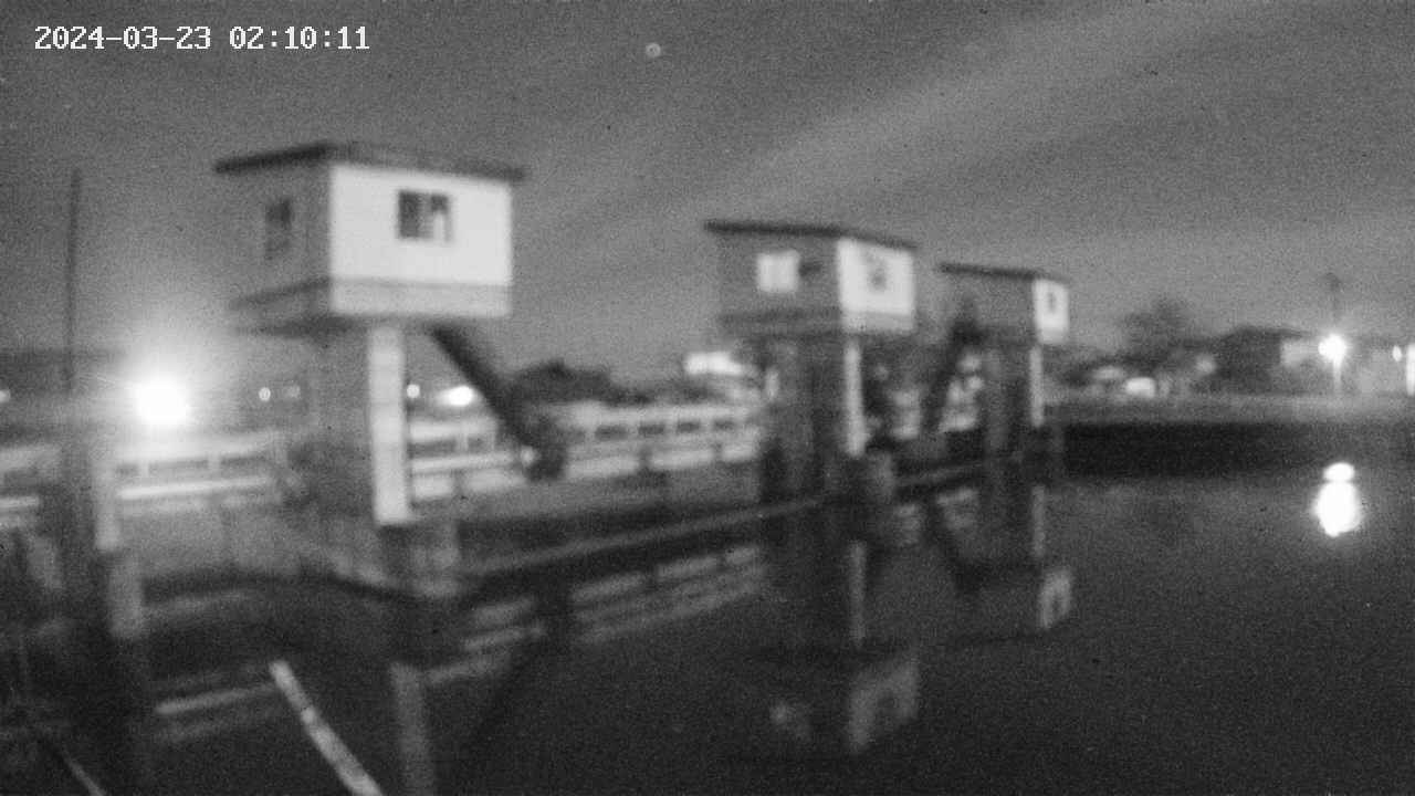 area1-20240323021013.jpg