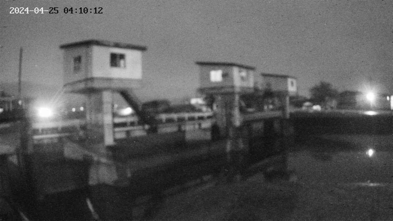 area1-20240425041013.jpg