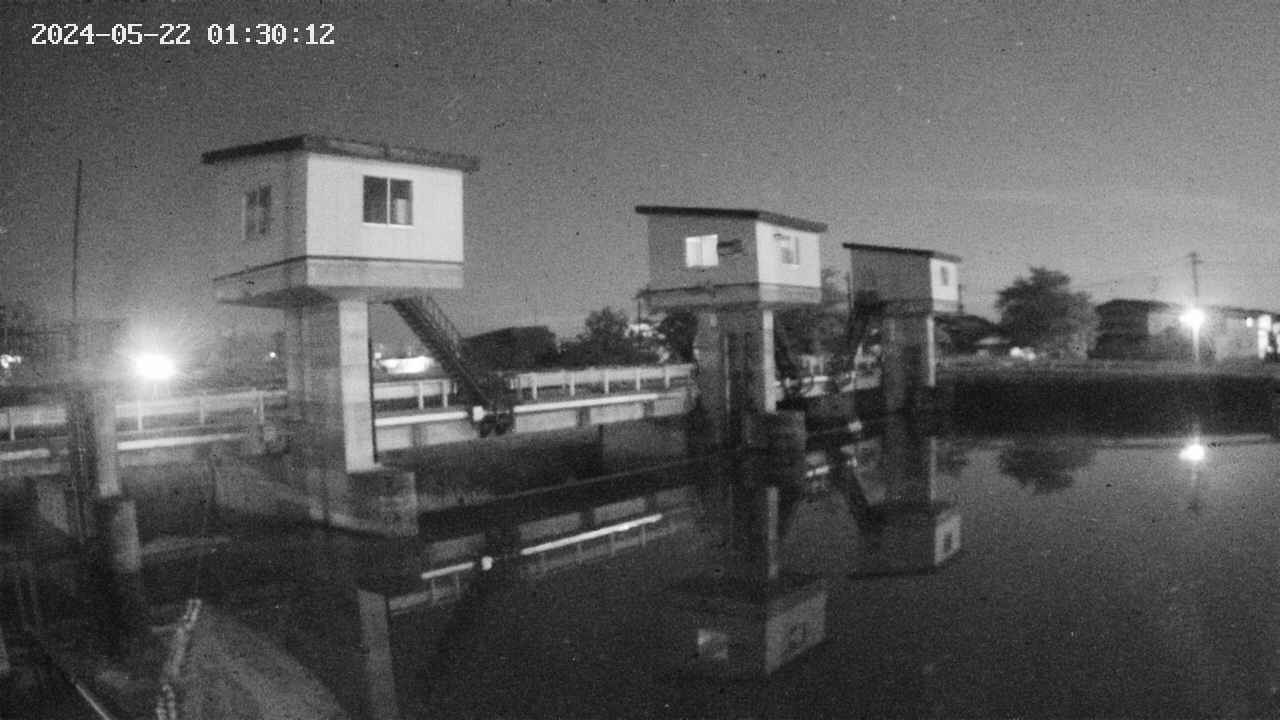 area1-20240522013013.jpg