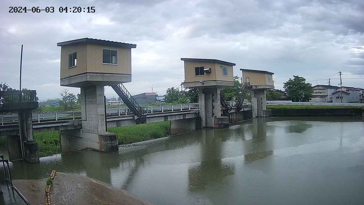 area1-20240603042016.jpg