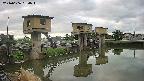 area1-20240606054013.jpg