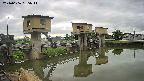area1-20240606055012.jpg