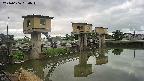 area1-20240606060013.jpg