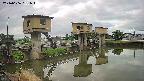 area1-20240606061013.jpg